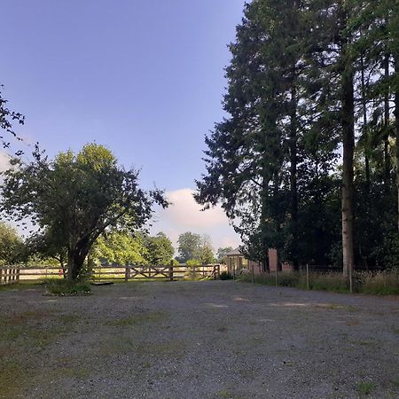 Les Gites Du Chateau De Maltot Saint-Ouen-du-Breuil Luaran gambar